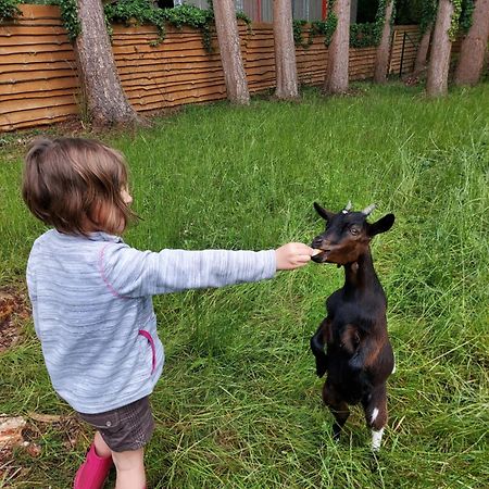 Au Clos Caleste Wellin Zewnętrze zdjęcie